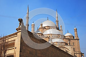 Egyptian Mosque
