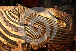 Egyptian mummy