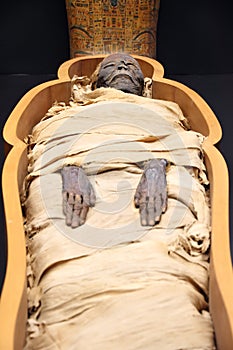 Egyptian mummy