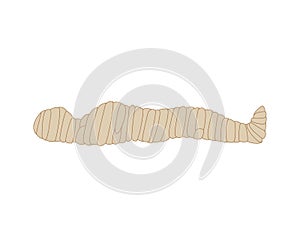 Egyptian mummy lies side view. flat vector icon for web design isolated