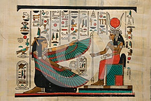 Egyptian papyrus