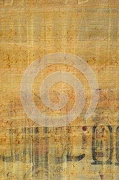 Egyptian papyrus texture