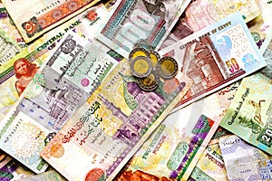 Egyptian pounds