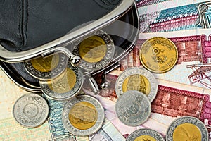 Egyptian pounds in a black open wallet. Coins and banknotes close-up.