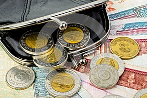 Egyptian pounds in a black open wallet. Coins and banknotes close-up.