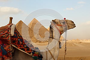 Egyptian pyramids