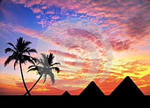 Egyptian Pyramids and palm trees