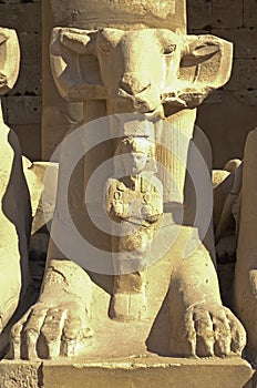 Egyptian Ram sphinx at Karnak