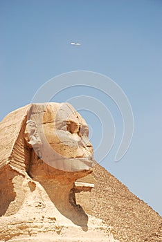 Egyptian sphinx