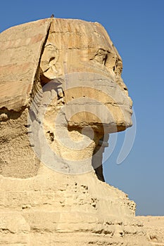 Egiziano sfinge 