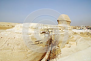 Egyptian sphinx in Cairo is being restaured