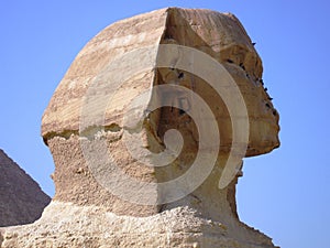 Egyptian sphinx head detail photo