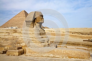 Egyptian Sphinx with pyramid in Giza