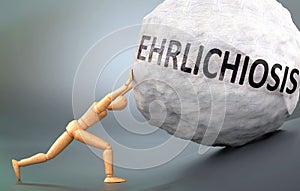 Ehrlichiosis - depiction, impression and presentation of this condition shown a wooden model pushing heavy weight to symbolize