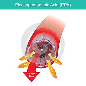 Eicosapentaenoic Acid. Illustration