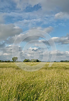 Eiderstedt Peninsula,North Frisia,Germany