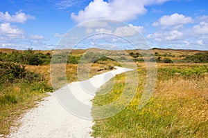 Eierland at island Texel photo