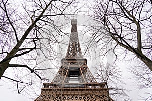 Eiffel in Paris whit tree tops