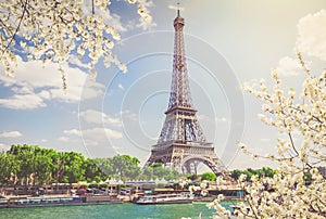Eiffel tour over Seine river photo
