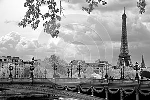 The Eiffel Tower and Alexandre III bridge in Paris, France