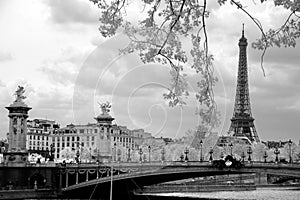 The Eiffel Tower and Alexandre III bridge in Paris, France. photo