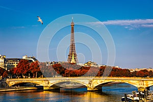 Eiffel tower in autumn foliage. Eiffel Tower with autumn leaves in Paris, France. Seine in Paris with Eiffel tower in autumn time