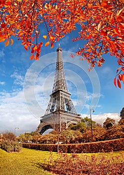 Eiffel Tower with autumn leaves in Paris, France