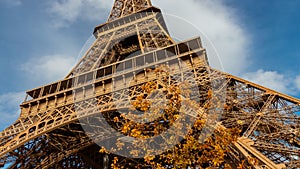 Eiffel tower with autumn leaves in Paris, France