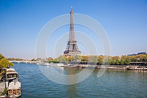 Eiffel Tower with autumn leaves in Paris, France