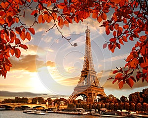 Eiffel Tower with autumn leaves in Paris, France photo