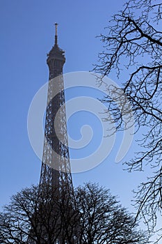 Eiffel Tower behind the trees against the blue sky