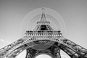 Eiffel Tower in Black and White