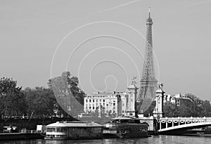 Eiffel tower in bloom, Paris, France