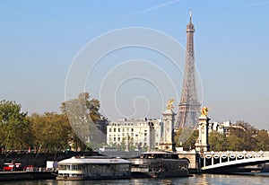 Eiffel tower in bloom, Paris, France