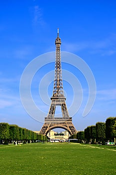 Eiffel Tower from Champ de Mars, Paris, France