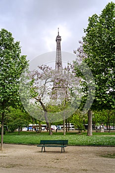 Eiffel Tower at Champ de Mars Park, Paris