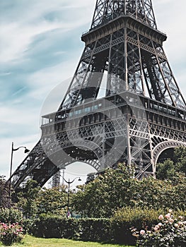 Eiffel Tower views from down