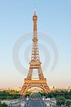 Eiffel Tower in Golden Light