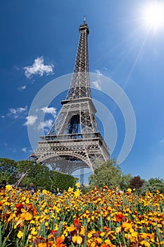 Eiffel tower in the landscape in Paris from the Champ de Mars with a colorful garden and flowers in the foreground