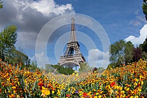 Eiffel tower in the landscape in Paris from the Champ de Mars with a colorful garden and flowers in the foreground