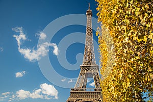 Eiffel Tower over blue sky and fall leaves