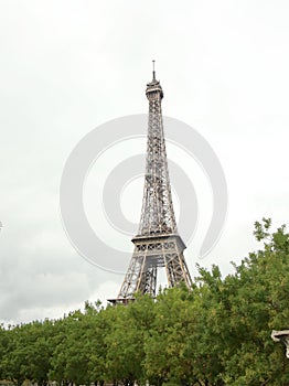 Eiffel tower over the hedges, Paris France