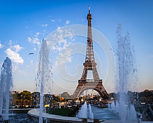 Eiffel Tower Paris