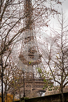 The Eiffel Tower in Paris through the autumn branches of Avenue du Président Kennedy