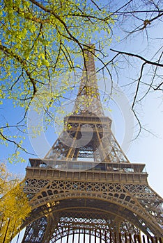 The Eiffel Tower in Paris, France