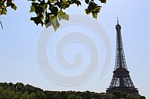 Eiffel tower in Paris France in a sunny day