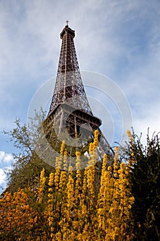 Eiffel tower, Paris in spring