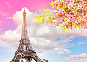 La Torre Parigi tramonto il cielo. fioritura primavera ciliegia 