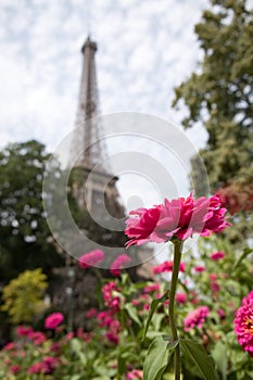 Eiffel tower in Paris