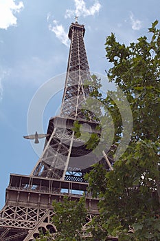 The Eiffel tower with pigeon